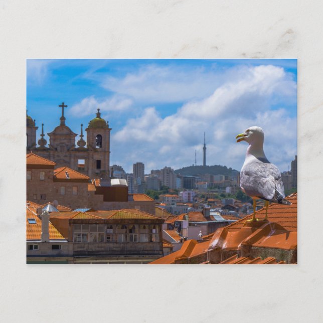 Gull Birds Eye View Rooftops von Portugal Postkarte (Vorderseite)