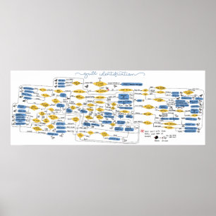 Gull-Identifizierungsdiagramm Poster