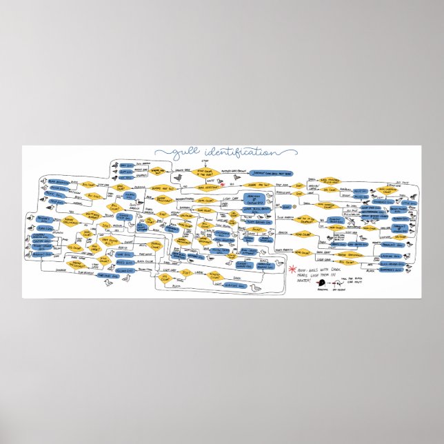 Gull-Identifizierungsdiagramm Poster (Vorne)