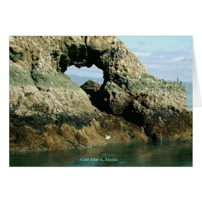 Gull Island Alaska Grußkarte (Vorderseite (Horizontal))