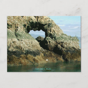 Gull Island, Alaska Postkarte