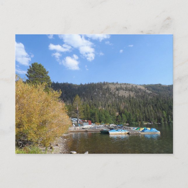 Gull Lake, CA Postkarte (Vorderseite)