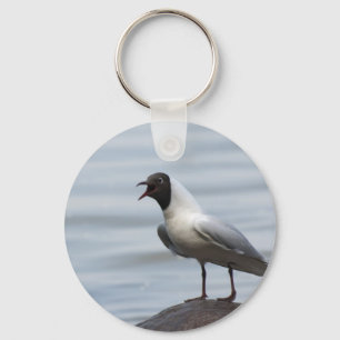 Gull Schlüsselanhänger