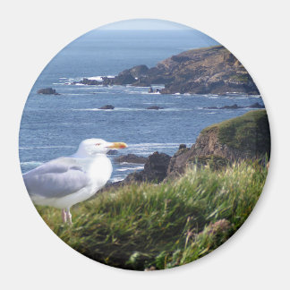 GullCoast Magnet