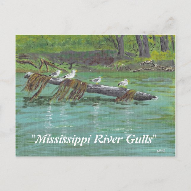 Gulls Mississippi Postkarte (Vorderseite)