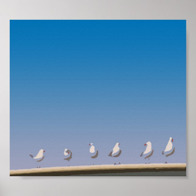 Gulls Poster (Vorne)