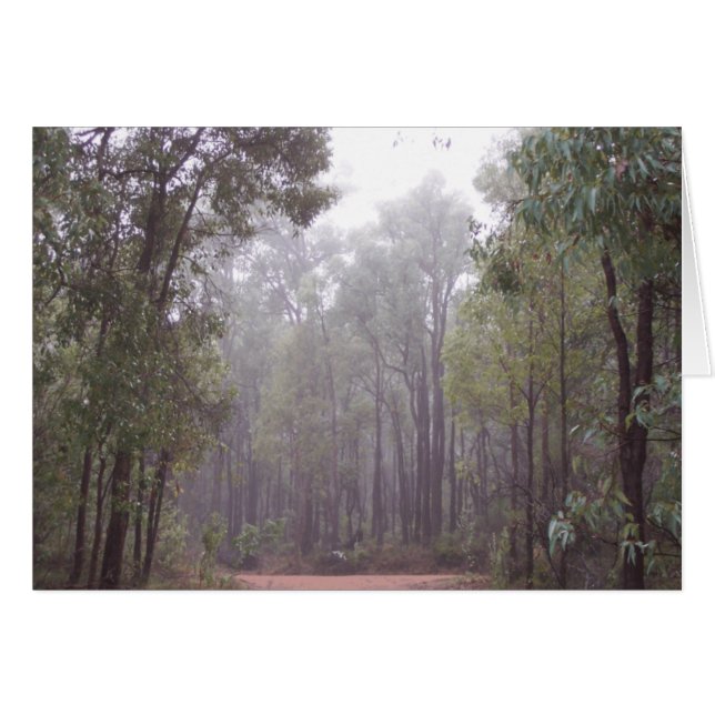 Gum Trees (Vorderseite (Horizontal))