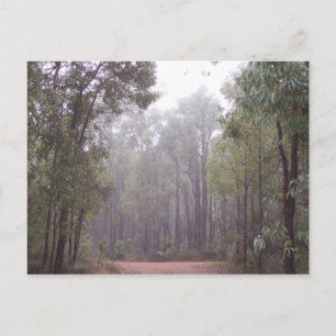 Gum Trees Postkarte