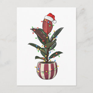 Gummibaum Ficus Santa Hut Weihnachtsbeleuchtung Postkarte