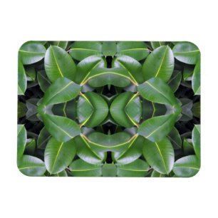 Gummibaummuster Magnet