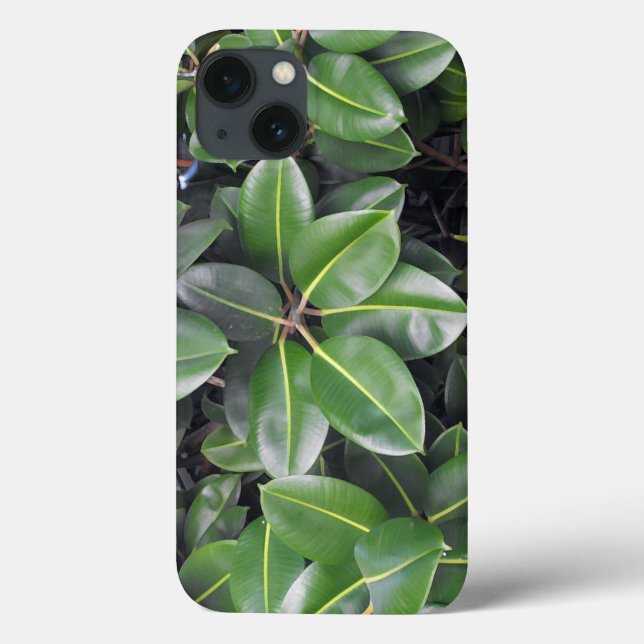 Gummibaumnähe Case-Mate iPhone Hülle (Rückseite)