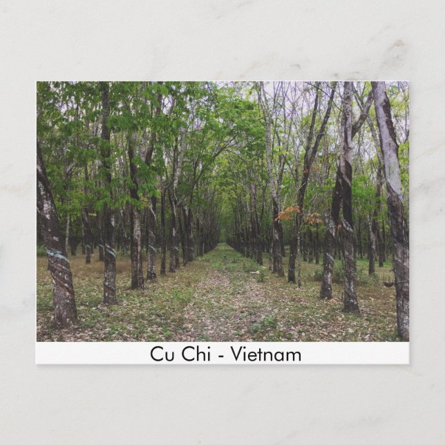 Gummiwald - Cu Chi - Vietnam Postkarte (Vorderseite)