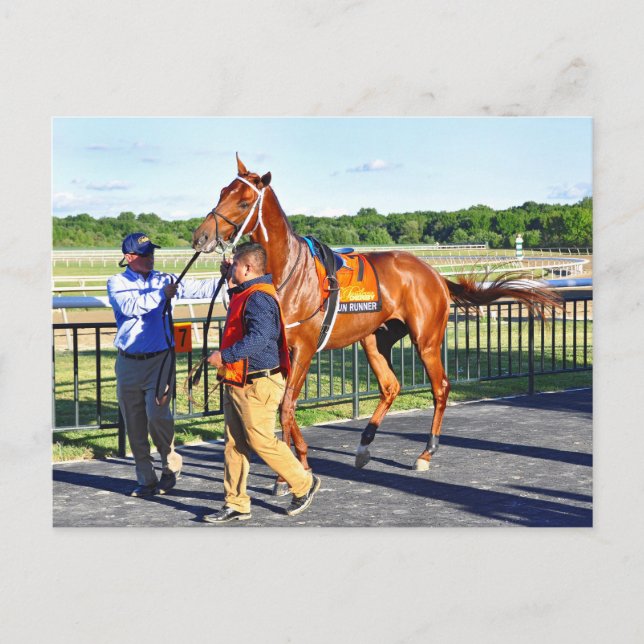 Gun Runner Postkarte (Vorderseite)