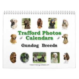 Gundog Zucht Kalender