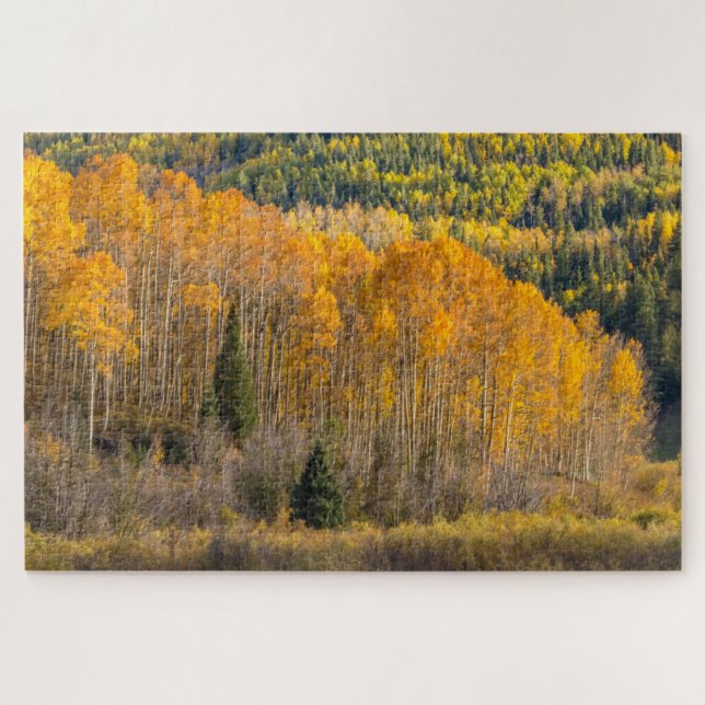Gunnison National Forest (Horizontal)