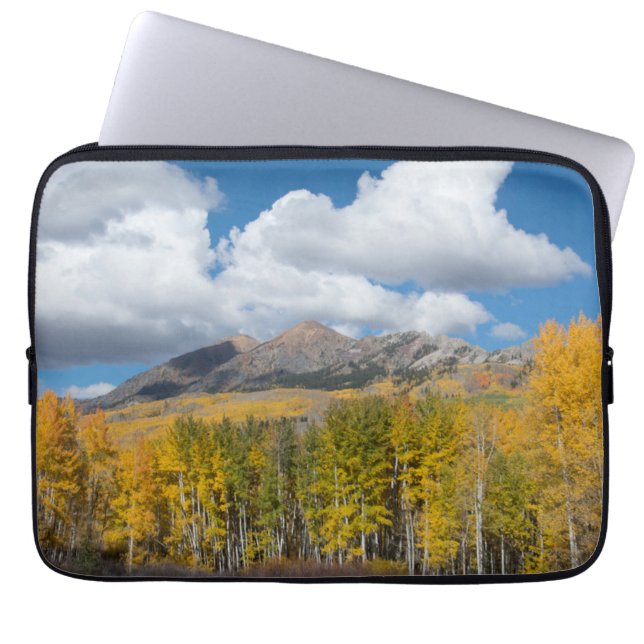 Gunnison National Forest, Colorado Laptopschutzhülle (Vorderseite)