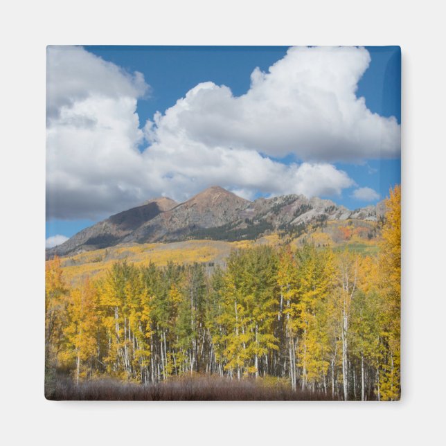 Gunnison National Forest, Colorado Magnet (Vorne)