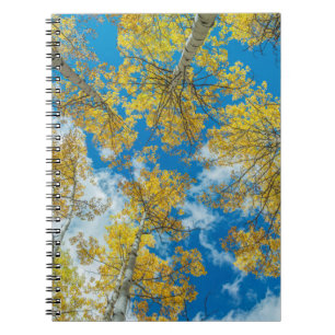 Gunnison National Forest Colorado Notizblock