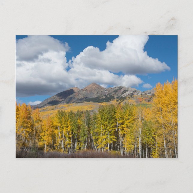 Gunnison National Forest, Colorado Postkarte (Vorderseite)