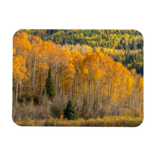 Gunnison National Forest Magnet