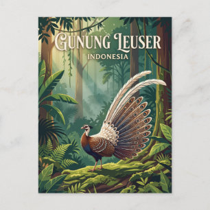 Gunung Leuser Nationalpark Indonesien Postkarte