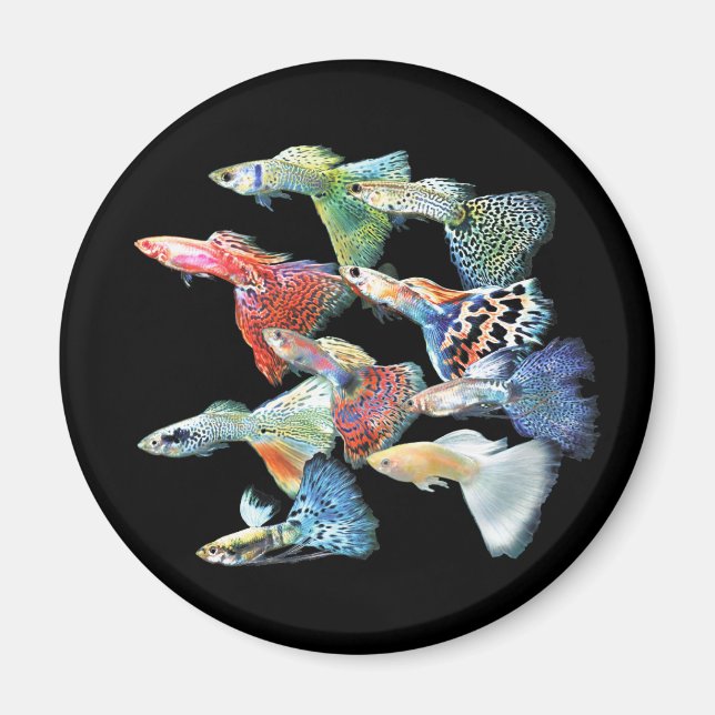 Guppies Magnet (Vorne)