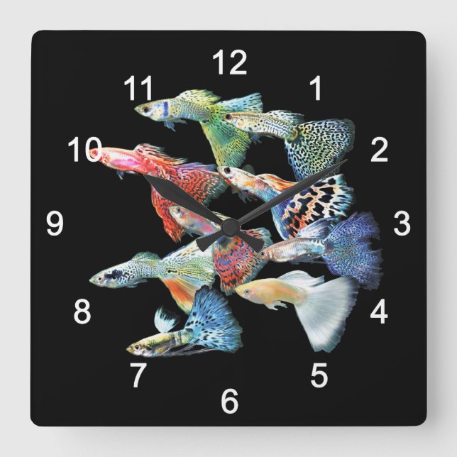 Guppies Quadratische Wanduhr (Vorderseite)