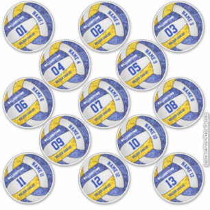 gürtelblaue Goldvolleyball-Spieler nennen Set von Aufkleber