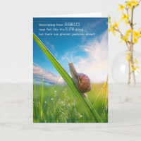 Gürtelrose Genesung Schnecken Tempo Grüne Weiden