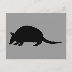 Gürteltier Postkarte