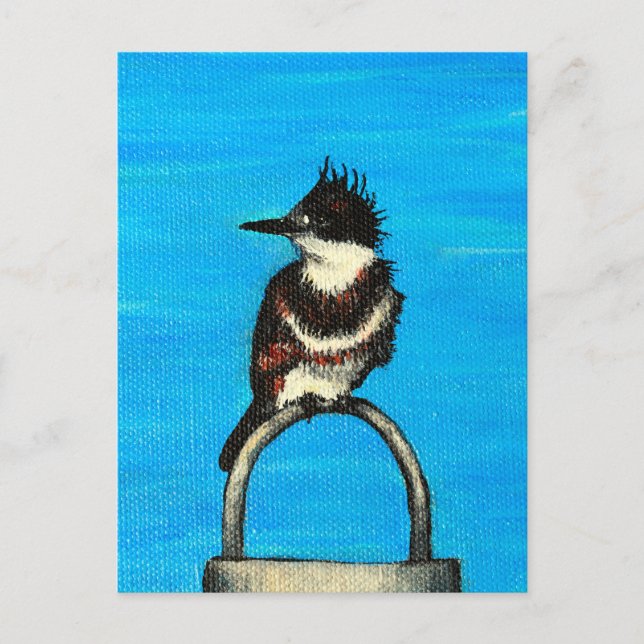 Gürteltier Postkarte (Vorderseite)