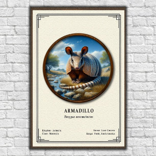 Gürteltier-Zoologie-Serie Poster