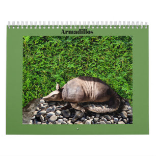 Gürteltiere Kalender