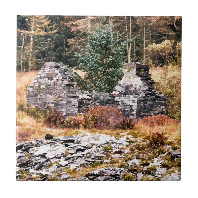 GUSH-HÜTTEN FLIESE (Vorderseite)