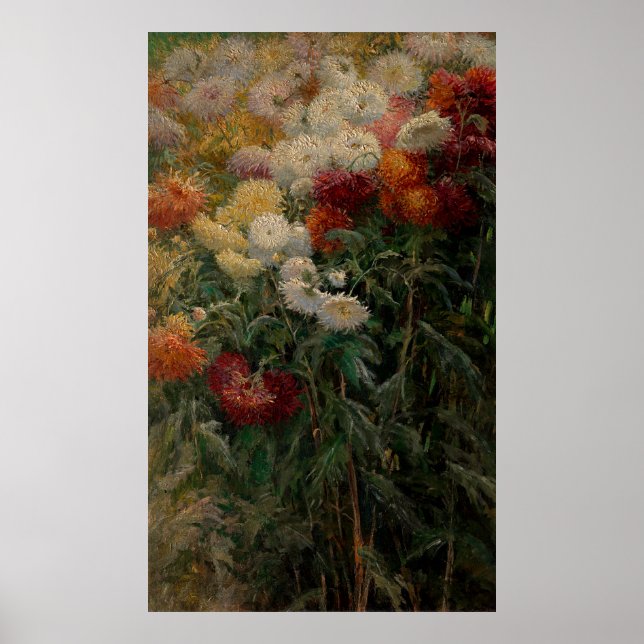 Gustave Caillebotte Chrysanthemums Poster (Vorne)