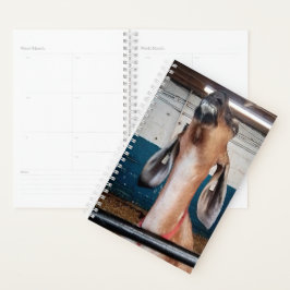 Gut aussehend planer