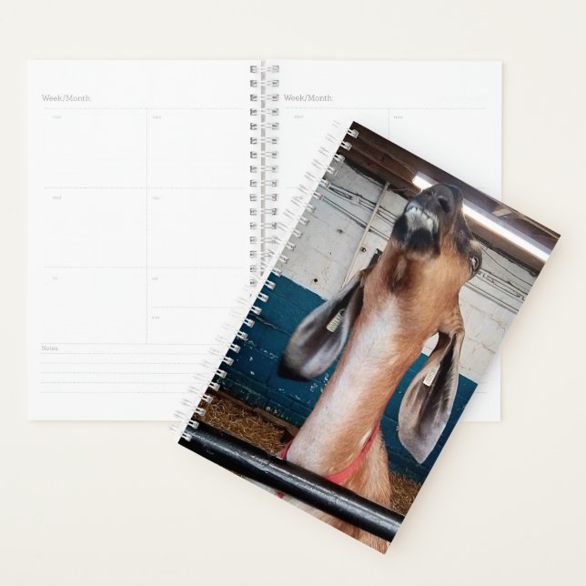 Gut aussehend planer (Anzeige)