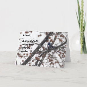 Gut, ein kleiner Vogel sagte mir, du wärest unter  Karte