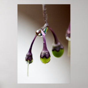 Gut für das letzte Tropfen-Poster Poster