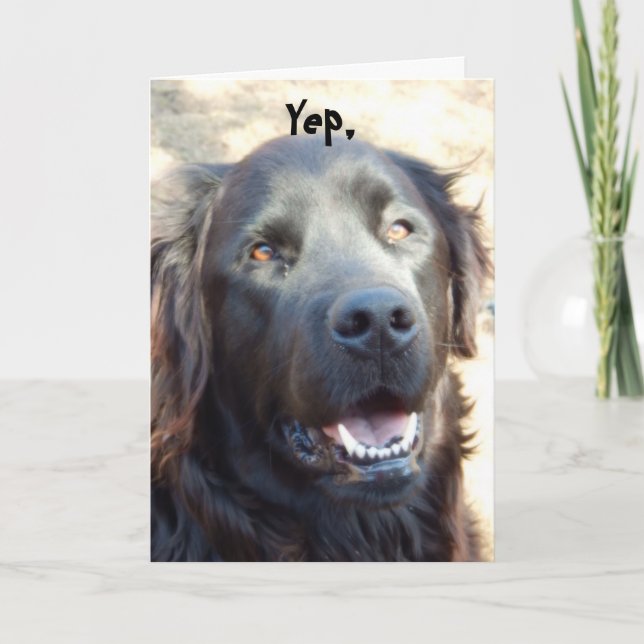 Gut ~Hunde Humor Gruß Karte (Vorderseite)