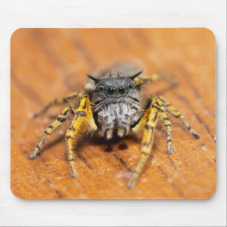 Gutaussehender Springer schaut dich an! Mousepad