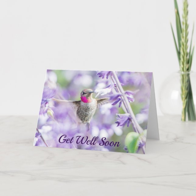 Gute Besserung | Hummingbird rosa und Lila Karte (Vorderseite)