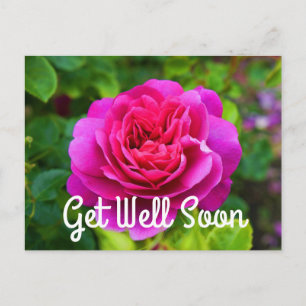 Gute Besserung Prinzessin Anne Rose #1 Postkarte