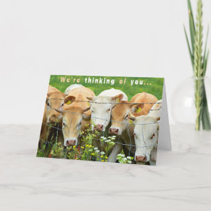 Gute Besserung Ranch Farm Rinder Land Blumen Karte