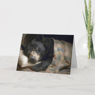 Gute Besserung Schwarzbär unter einer Decke Karte