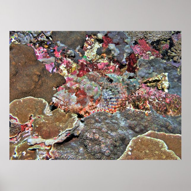 Gute Camouflage Poster (Vorne)