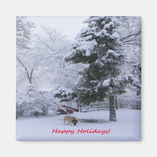 Gute Ferien!.. Magnet