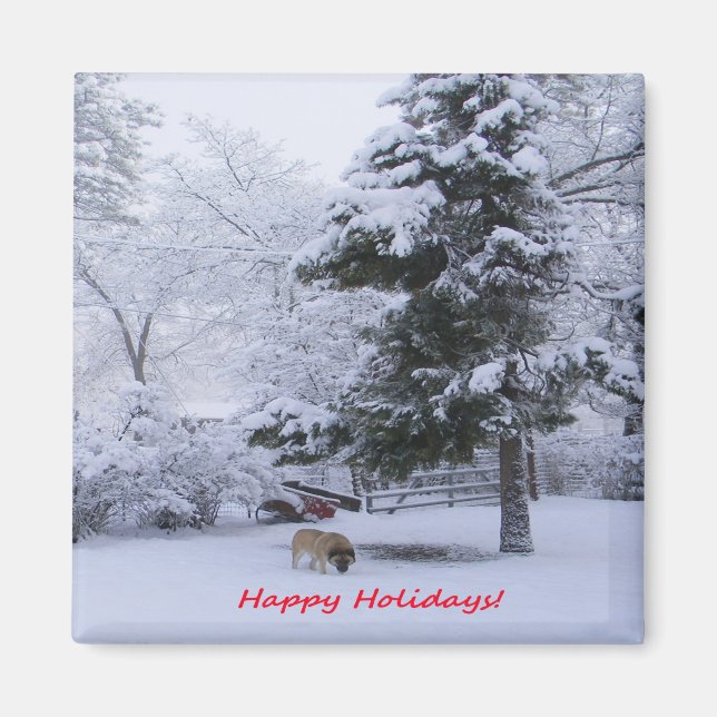 Gute Ferien!.. Magnet (Vorne)