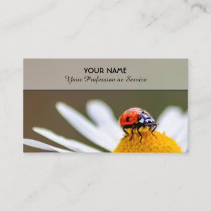 Gute glückliche Ladybugs für gesundes Wohlbefinden Visitenkarte