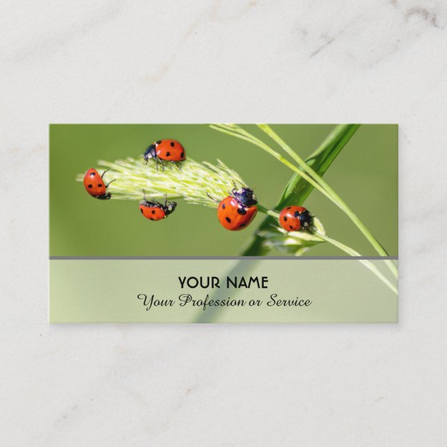 Gute glückliche Ladybugs für gesundes Wohlbefinden Visitenkarte (Vorderseite)